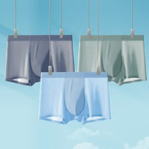 Men's Underwear Summer Ice Silk Seamless Breathable Mulberry Silk Mid-Rise ODM Youth Sports Boxer Briefs (Copy)